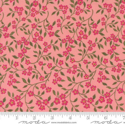 Sagewood Dogwood Rose