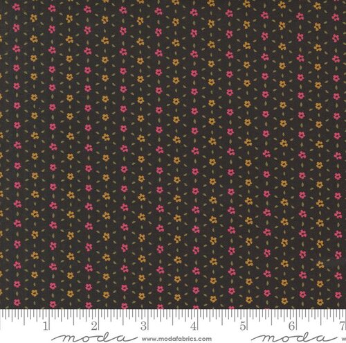 Sagewood Seedling Night Sky