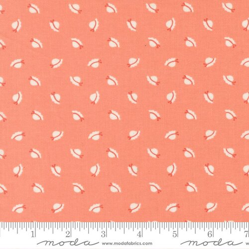 Sunbonnet Coral Tiny