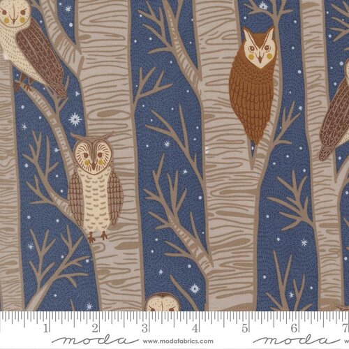 Night Owl Dusk Owl