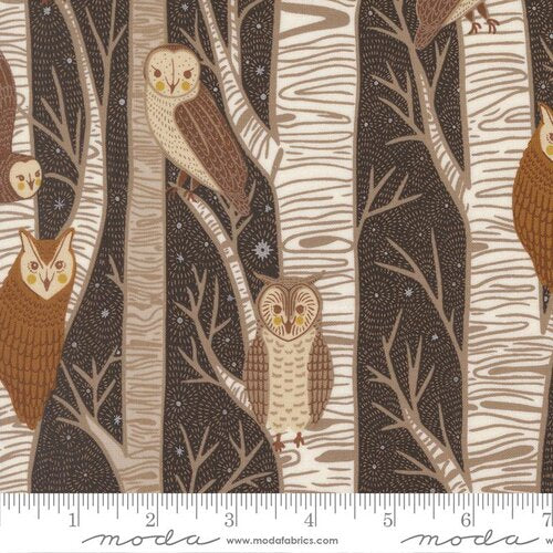 Night Owl Midnight Owl