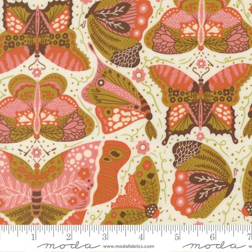 Night Owl Cloud Moth
