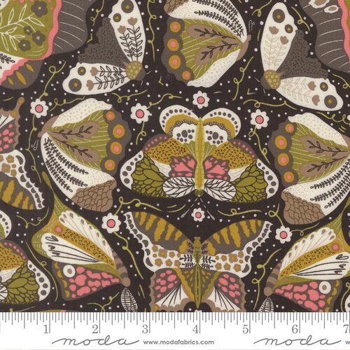 Night Owl Midnight Moth