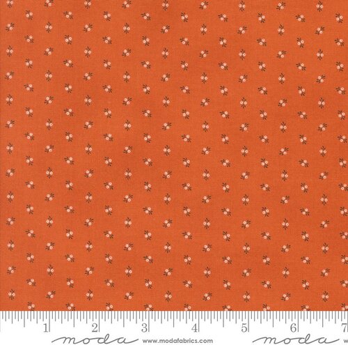 Pumpkin Spice Gath Trumpet Vine