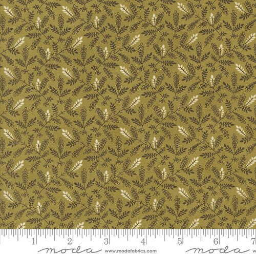 Pumpkin Spice Gath Basil