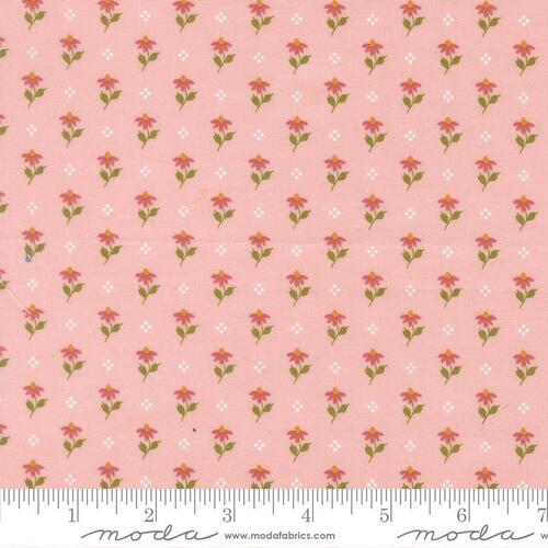 Wild Honey Carnation Small