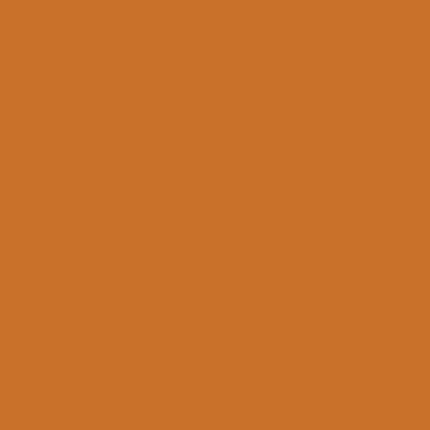 Confetti Cotton Solids Amber