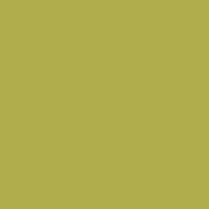 Confetti Cotton Solid Asparagus