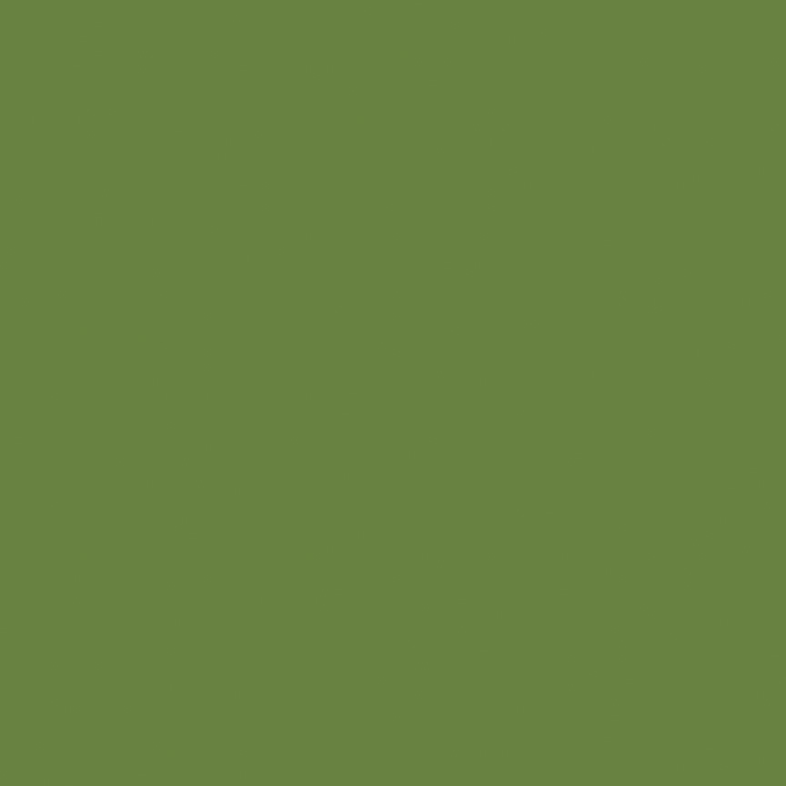 Confetti Cotton Solids Basil