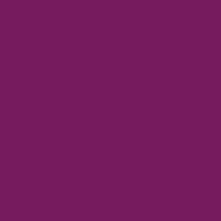 Confetti Cotton Solid Boysenberry