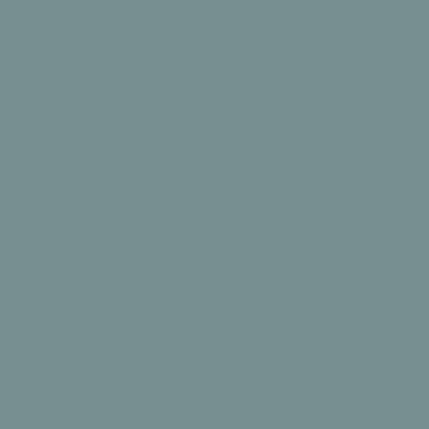 Confetti Cotton Solids Dolphin