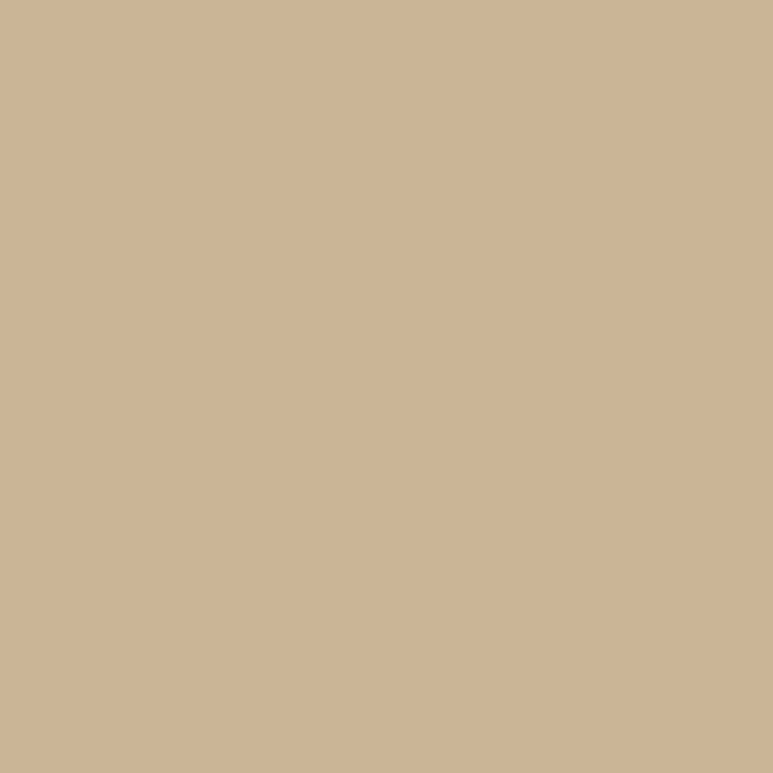Confetti Cotton Solids Palomino
