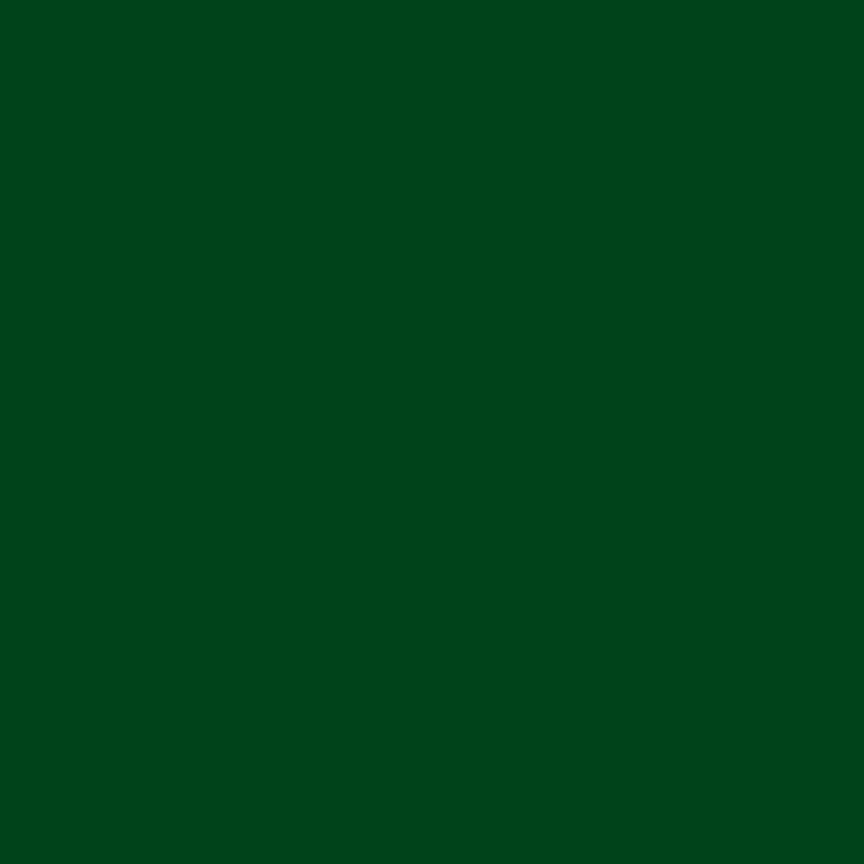 Confetti Cotton Solids Pine Valley