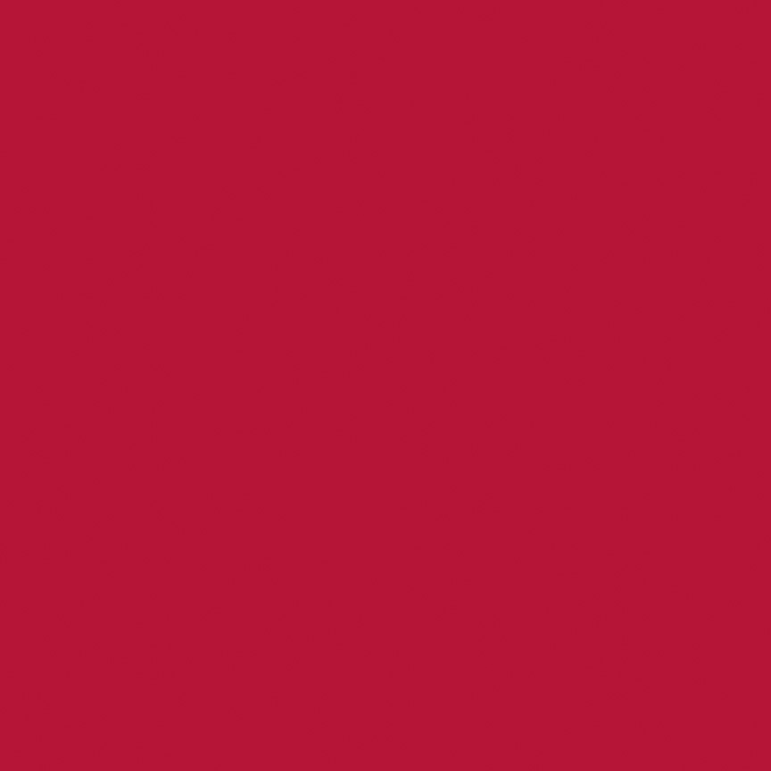 Confetti Cotton Solids Redwood