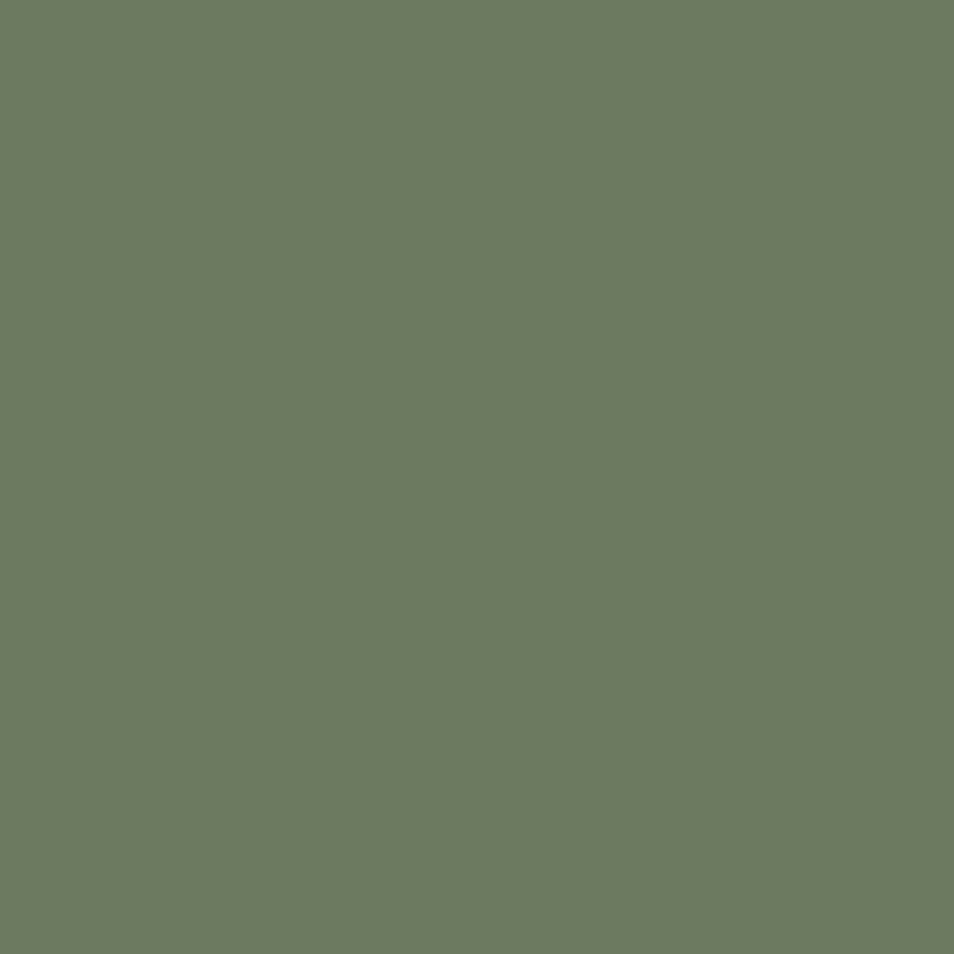 Confetti Cotton Solids Rosemary