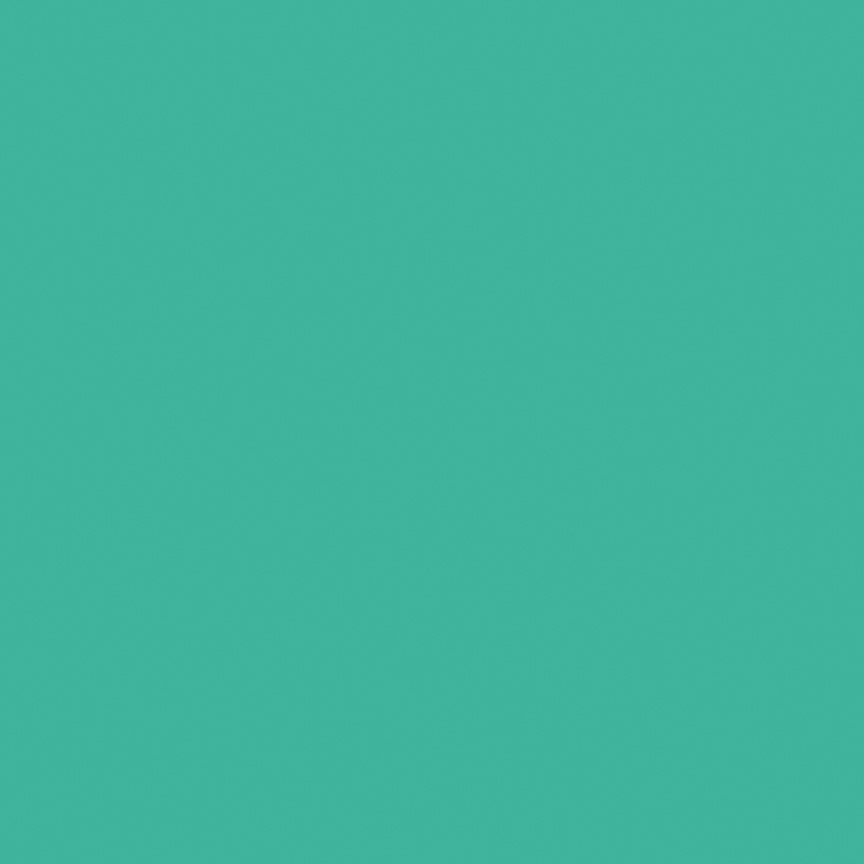 Confetti Cotton Solids Vivid