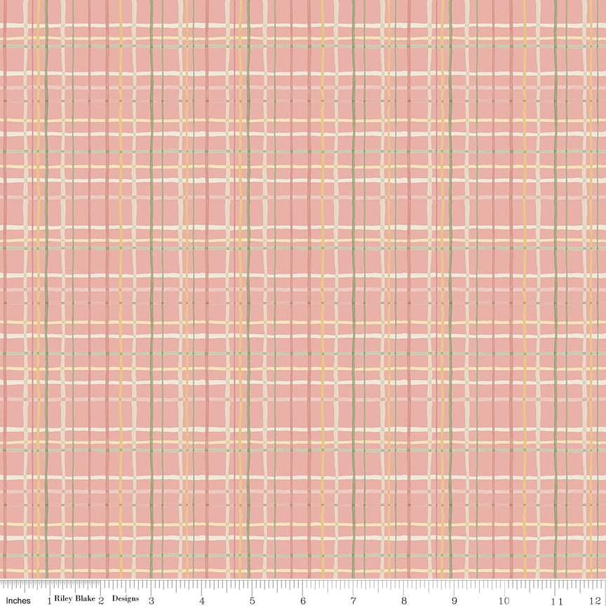 Love Me More Plaid Coral