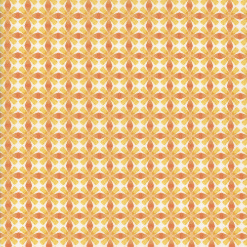 Dragon Friends - Geo 2 Orange