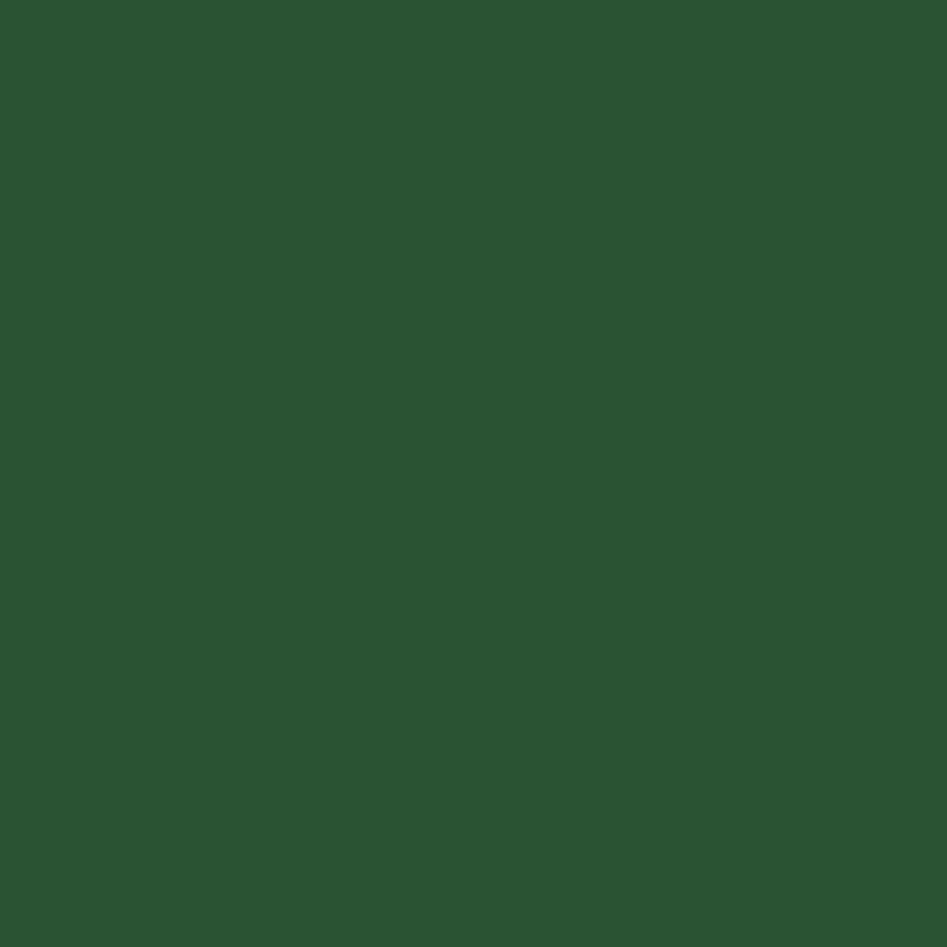 Double Lush Velvet 58/60in Solid Timberline