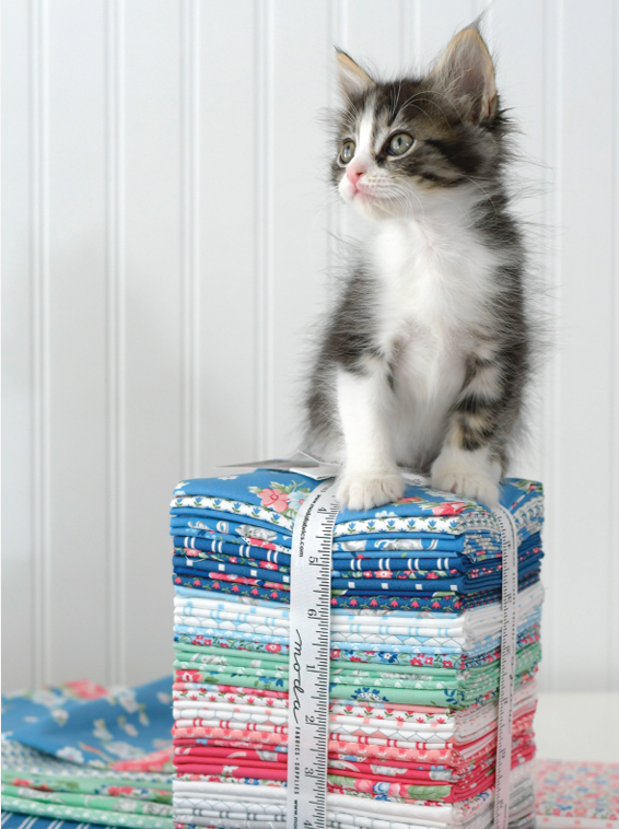 A Cat Named Stitch by Camille Roskelley Precuts PREORDER