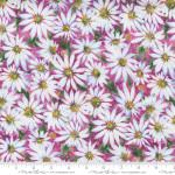 Fresh As A Daisy Magenta2