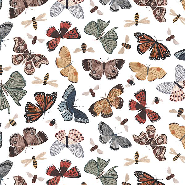 Eden Butterflies