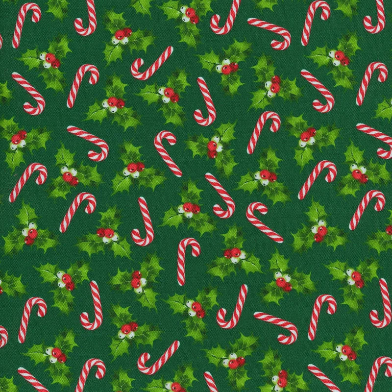 Peppermint Candy Pine Multi Holly